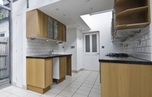 Ballyroney kitchen extension leads